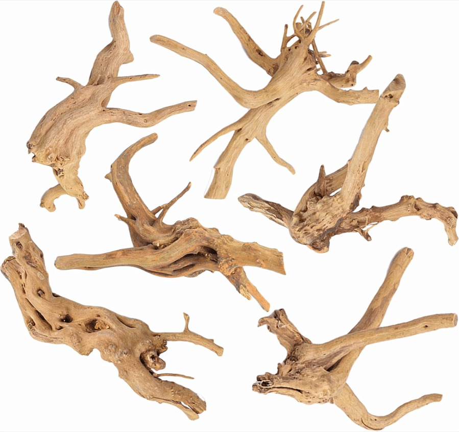 Whimar - Decor Spider Wood Nano 5-10cm