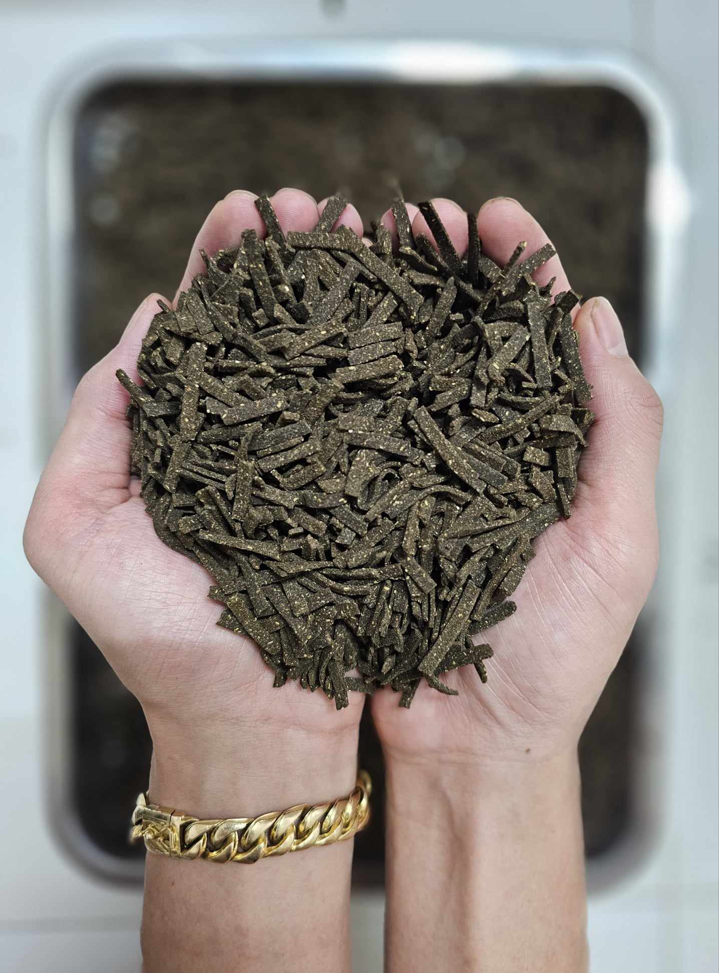 Color Shrimp Studio Premium Food - Mangime Naturale con Vitamine per Caridine 40gr