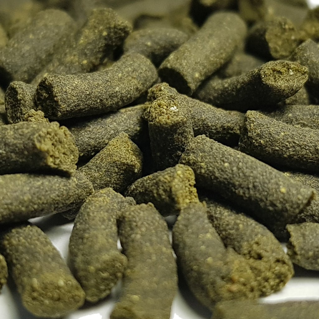 ALGAE - Alimento complementare - AQUASHRIMP