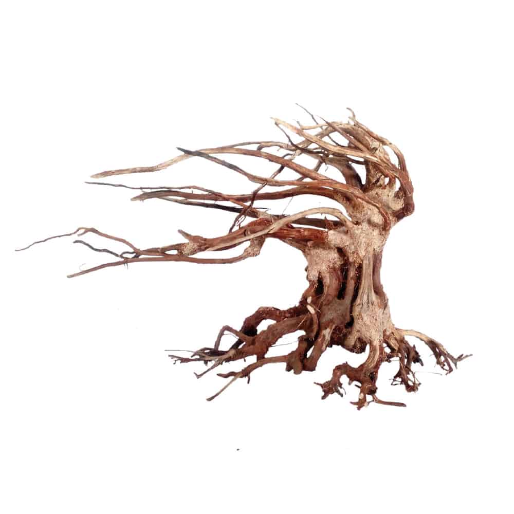 AMTRA Legno Oriental Wind - AQUASHRIMP