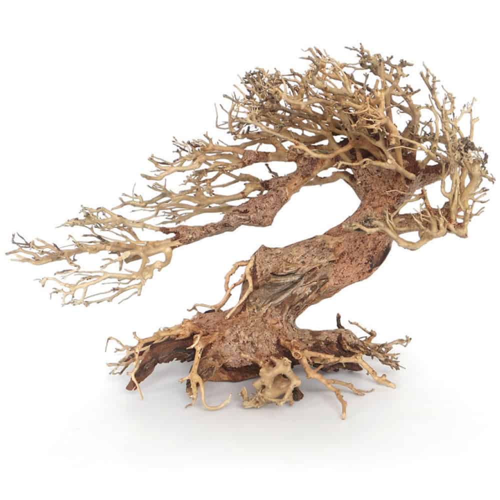 AMTRA Legno Oriental Wind - AQUASHRIMP