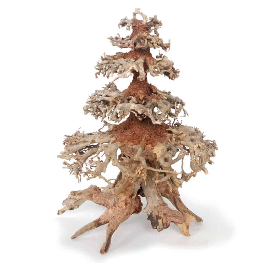 AMTRA Legno Oriental Wind - AQUASHRIMP