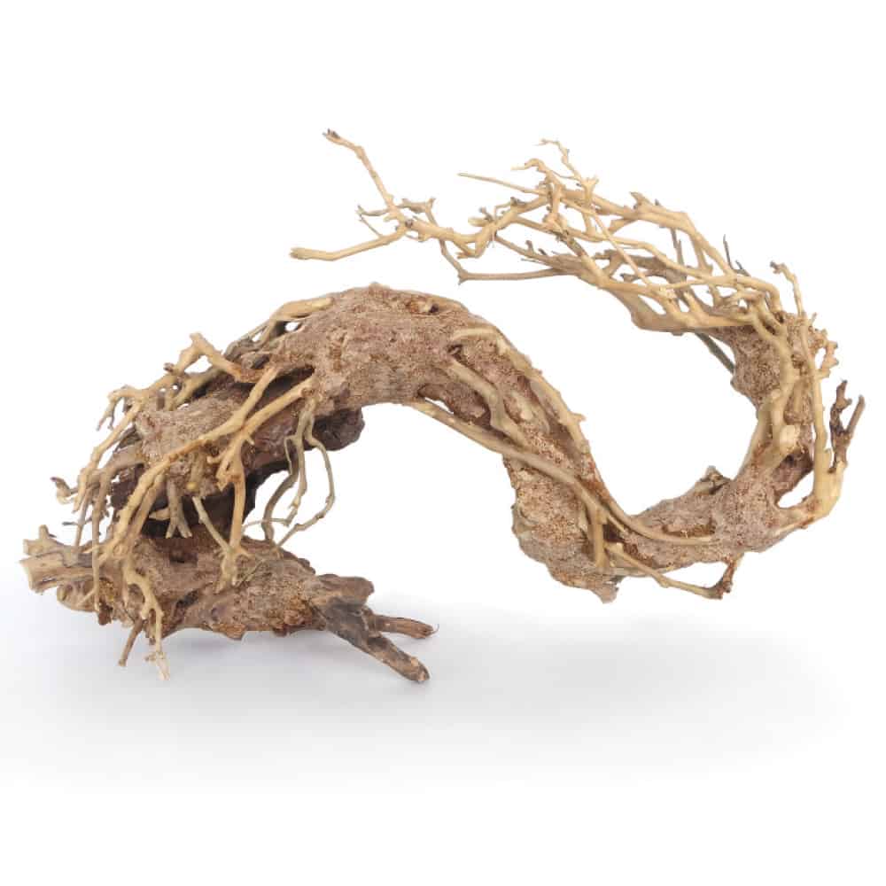 AMTRA Legno Oriental Wind - AQUASHRIMP