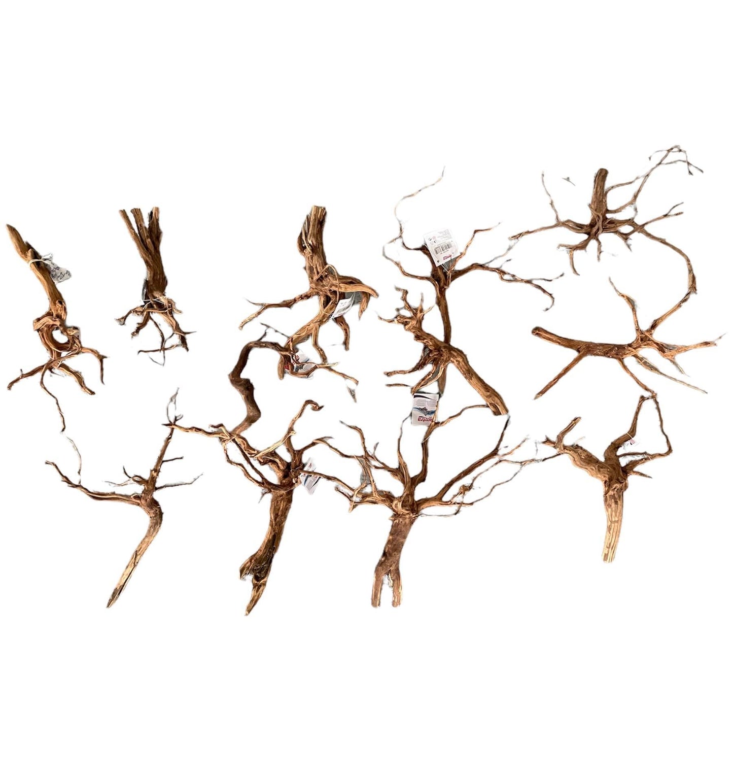 AMTRA LEGNO RED SPIDER KING SM - AQUASHRIMP