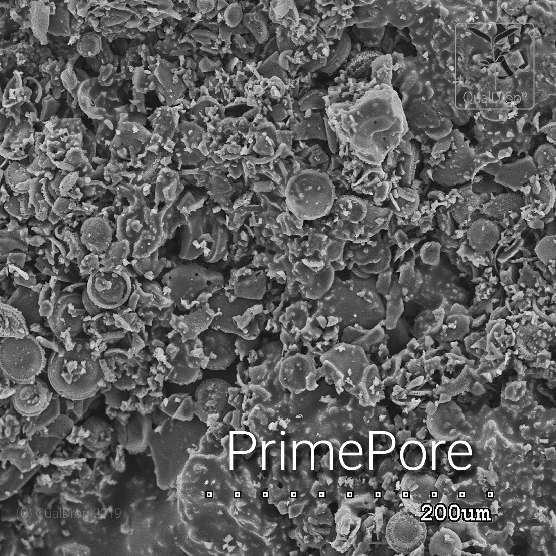 PrimePore - AQUASHRIMP