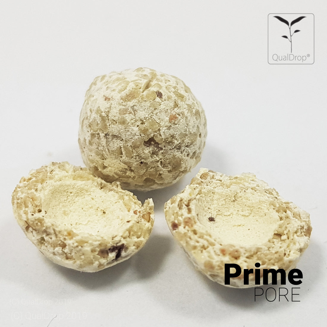 PrimePore - AQUASHRIMP