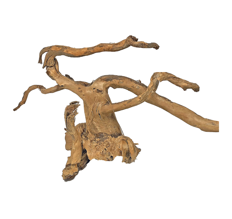 Whimar – Aquascaping Wood Spider nano 5-10 cm