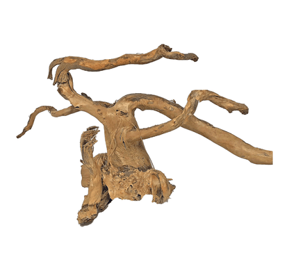 Whimar – Aquascaping Wood Spider nano 5-10 cm
