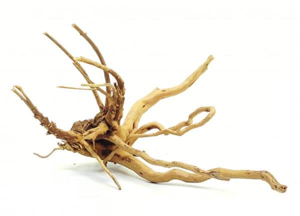 Whimar – Aquascaping Wood Spider M 25-40 cm