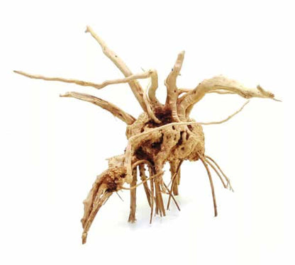 Whimar – Aquascaping Wood Spider M 25-40 cm