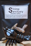 Shrimp Sanctuary - Breeders Select 30g
