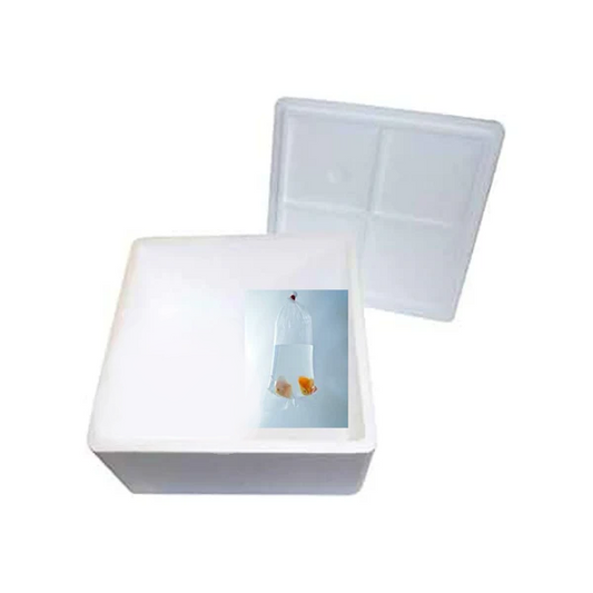 Kit Spedizione Gamberetti (OBBLIGATORIO) - AQUASHRIMP