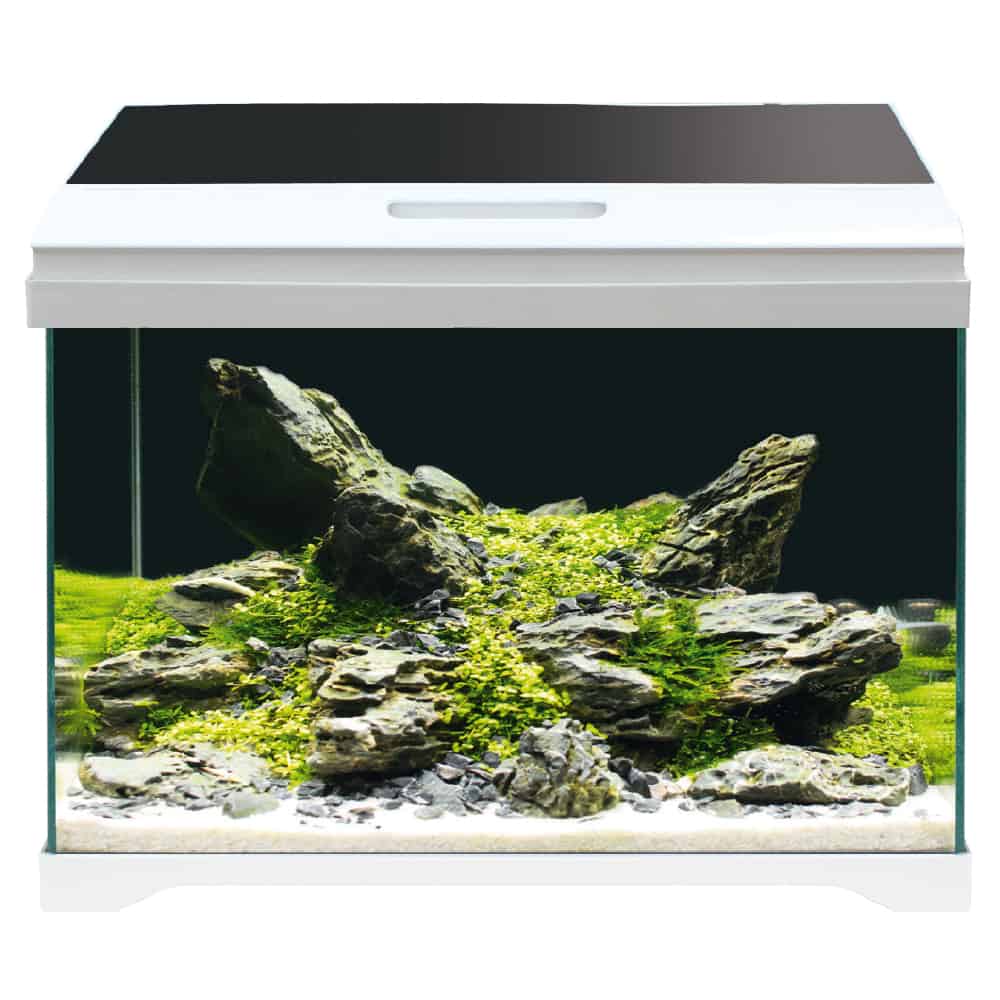 AMTRA EXTRACHIARO MODERN TANK 40 - 28 litri - AQUASHRIMP