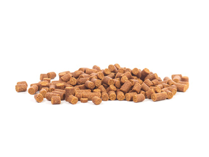 GlasGarten Shrimp Snacks Artemia per caridine e gamberi