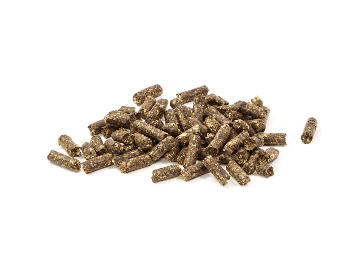 GlasGarten Humin Sticks - Care Food -