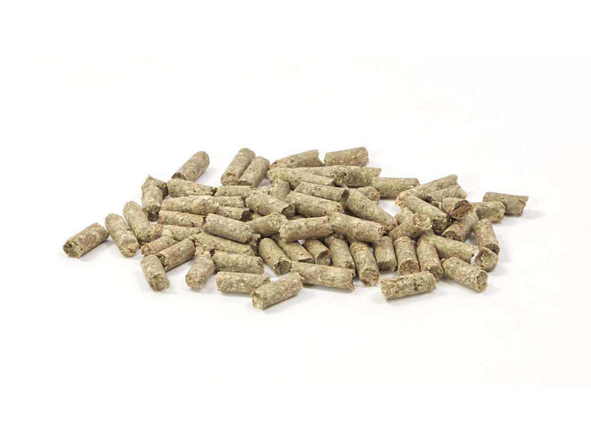 GlasGarten Immun Sticks - Care Food -