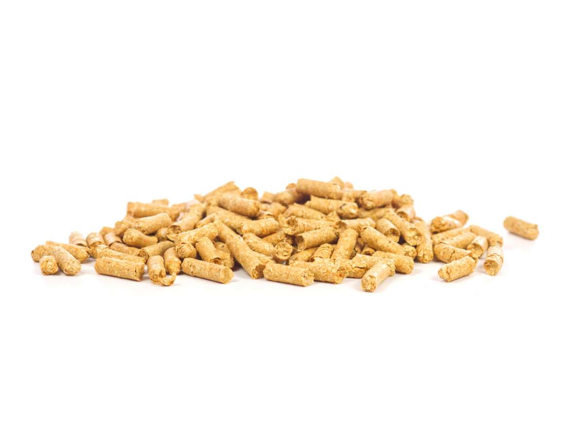 GlasGarten Shrimp Snacks Snow Flakes, Pumpkin-Karotte