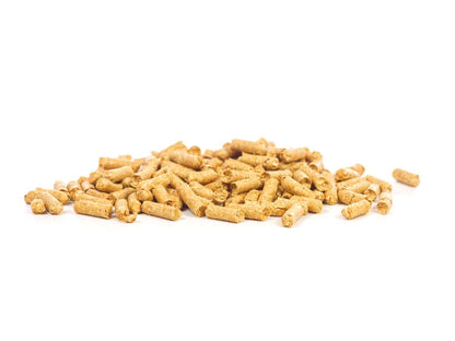 GlasGarten Shrimp Snacks Snow Flakes, Pumpkin-Karotte