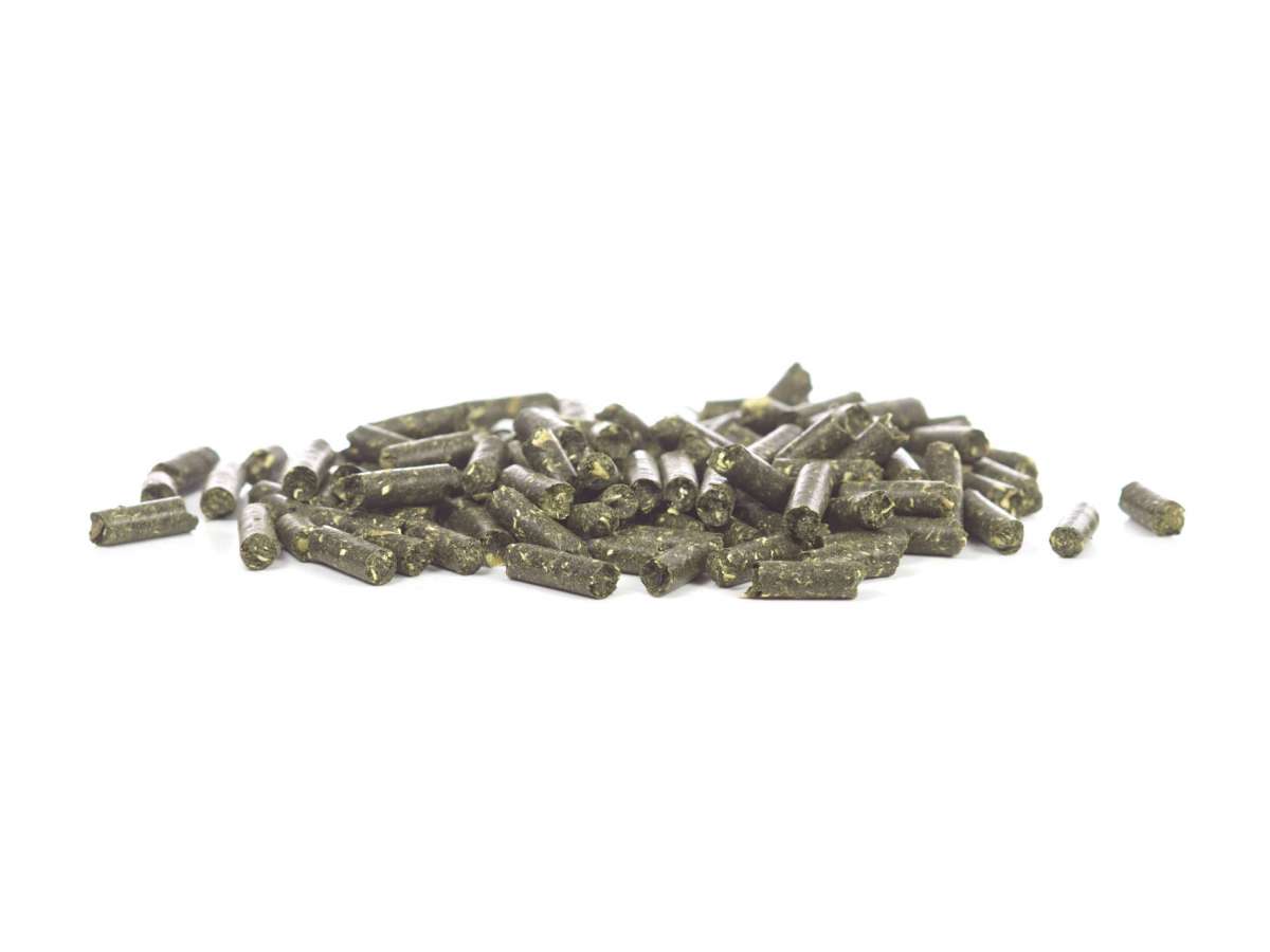 GlasGarten Shrimp Snacks Leaves Mix per caridine e gamberi