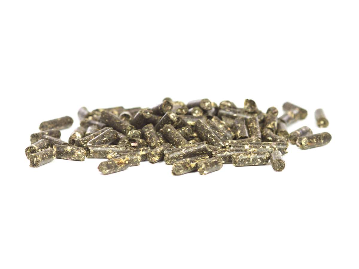 GlasGarten Shrimp Snack Löwenzahn per caridine e gamberi