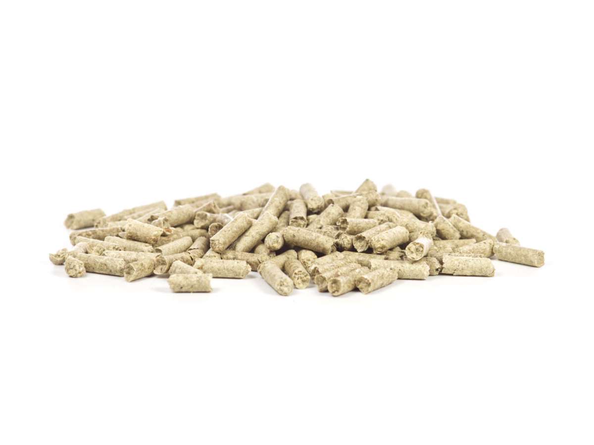 GlasGarten Shrimp Snacks Snow Flakes per caridine
