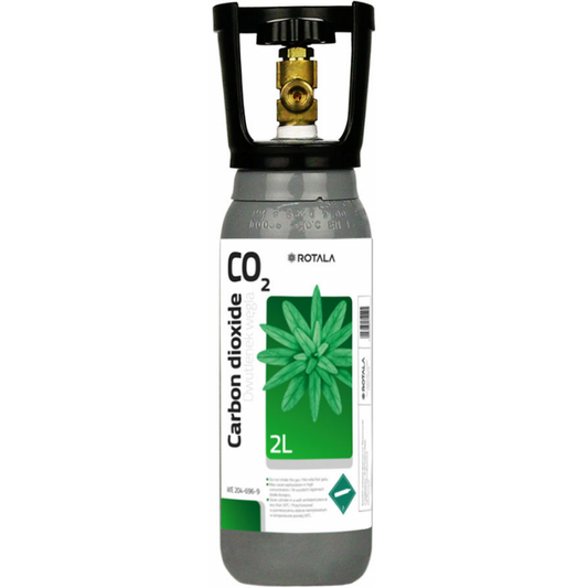 Bombola CO2 Ricaricabile 2 litri