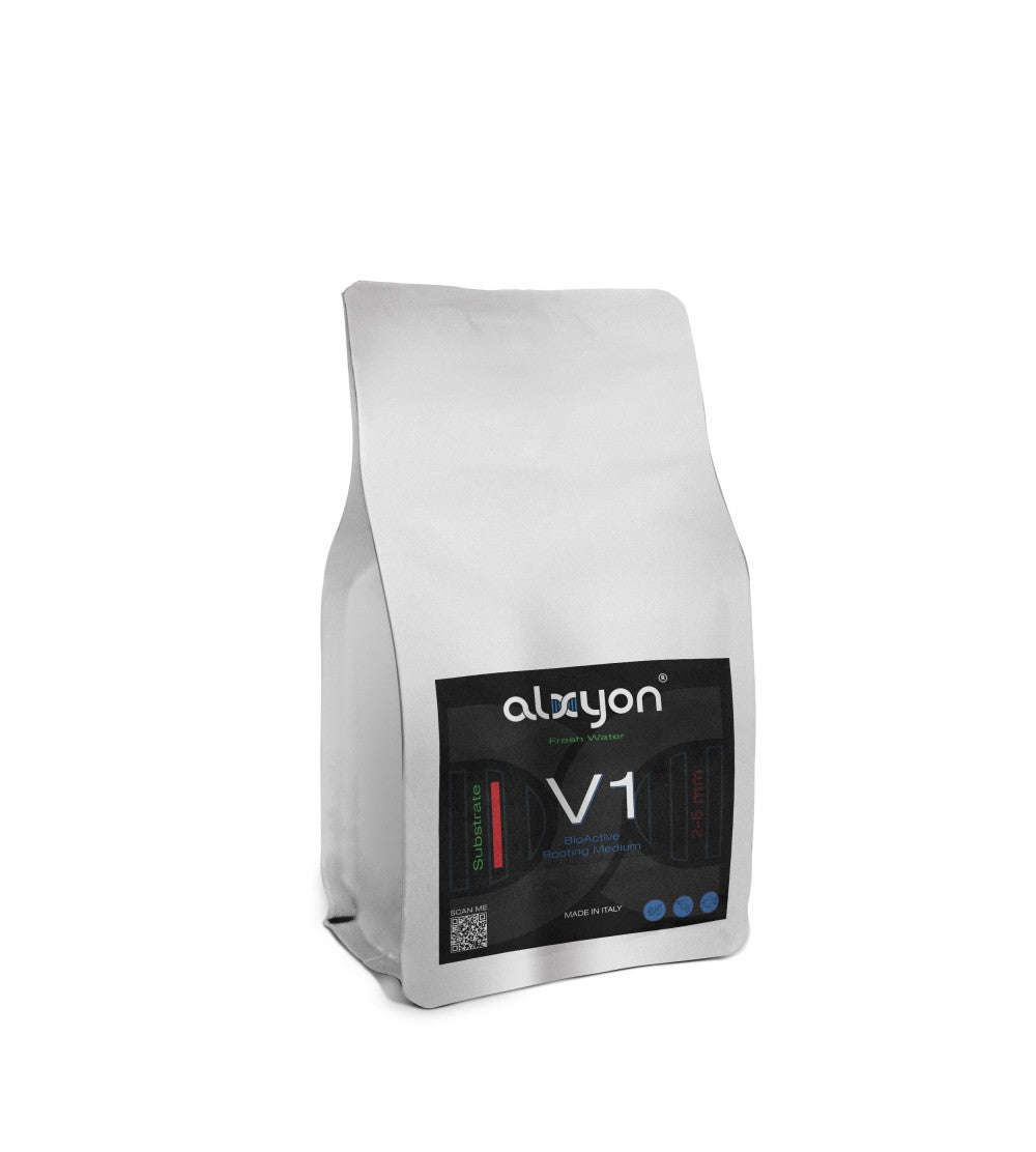 Alxyon Substrate V1