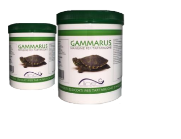 Gammarus 100 ml - AQUASHRIMP