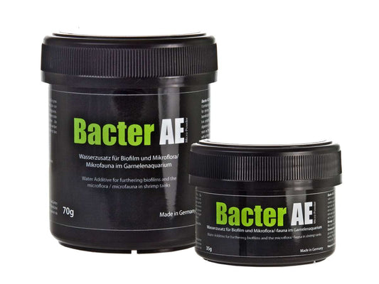 GlasGarten Bacter AE