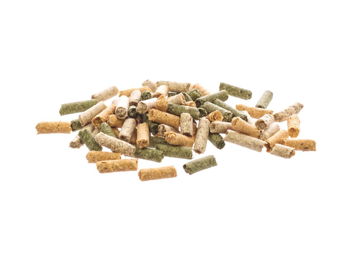 GlasGarten Shrimp Snack Snow Flakes Sticks Mix 3in1 per caridine e gamberi