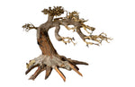 ADA Bonsai Wood M (35x25cm) - AQUASHRIMP